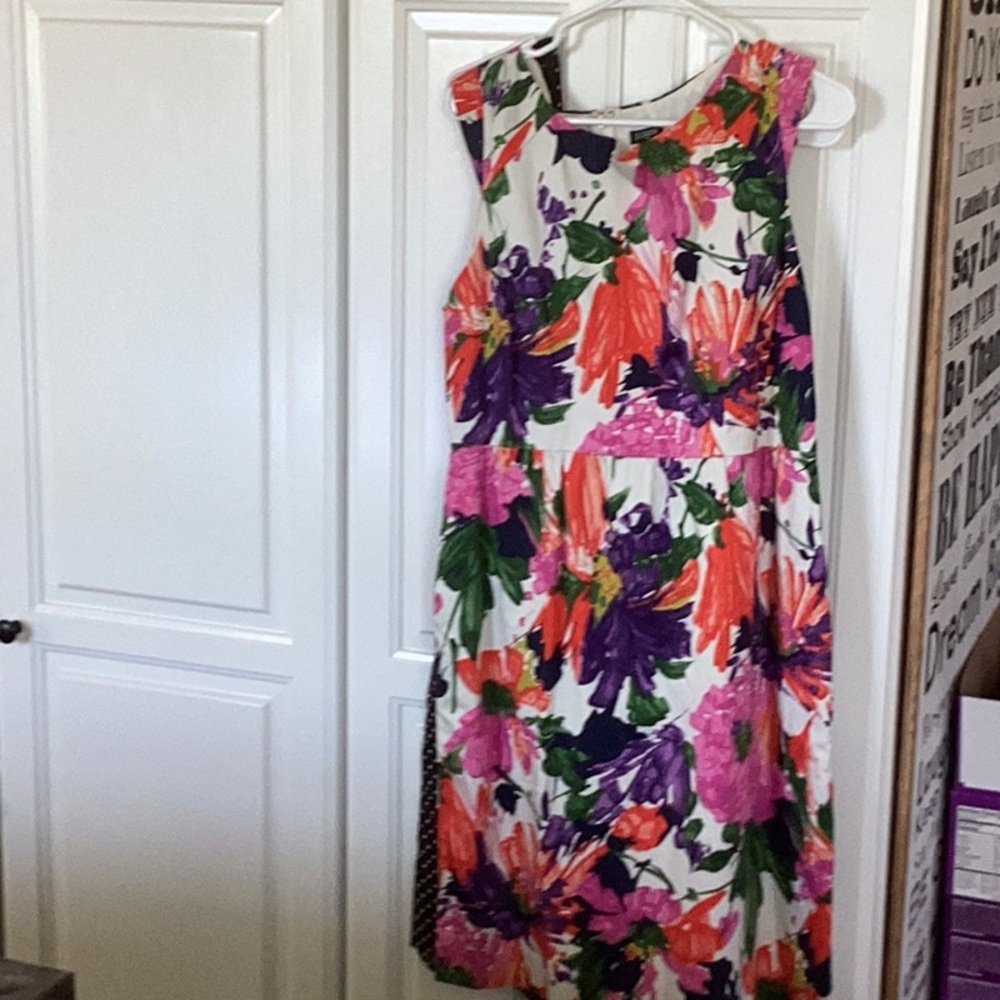 J Crew dress